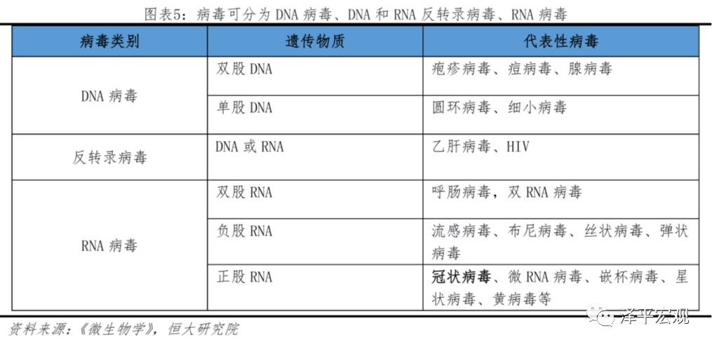 全球最新疫情死亡人数统计：触目惊心的数字背后