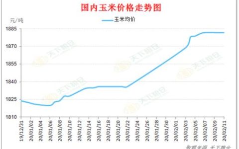 武汉疫情终将结束，我国抗疫胜利曙光初现