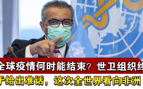 2009年H1N1流感疫情：全球公共卫生的挑战与应对