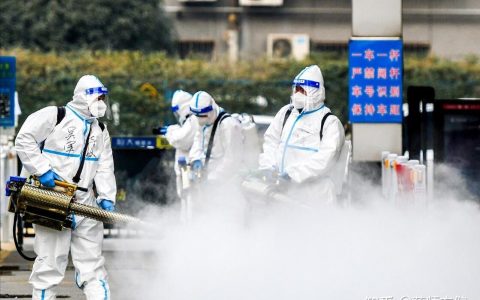 全球最新疫情情况实时播报：疫情动态追踪，共抗疫情挑战