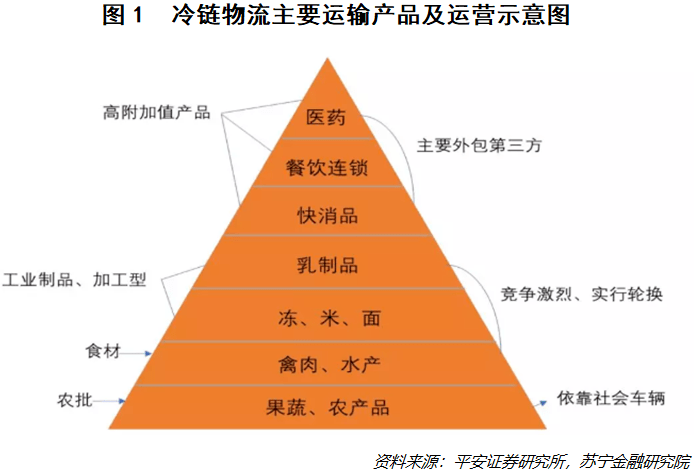 全球疫情：2023年疫情结束的真相与反思